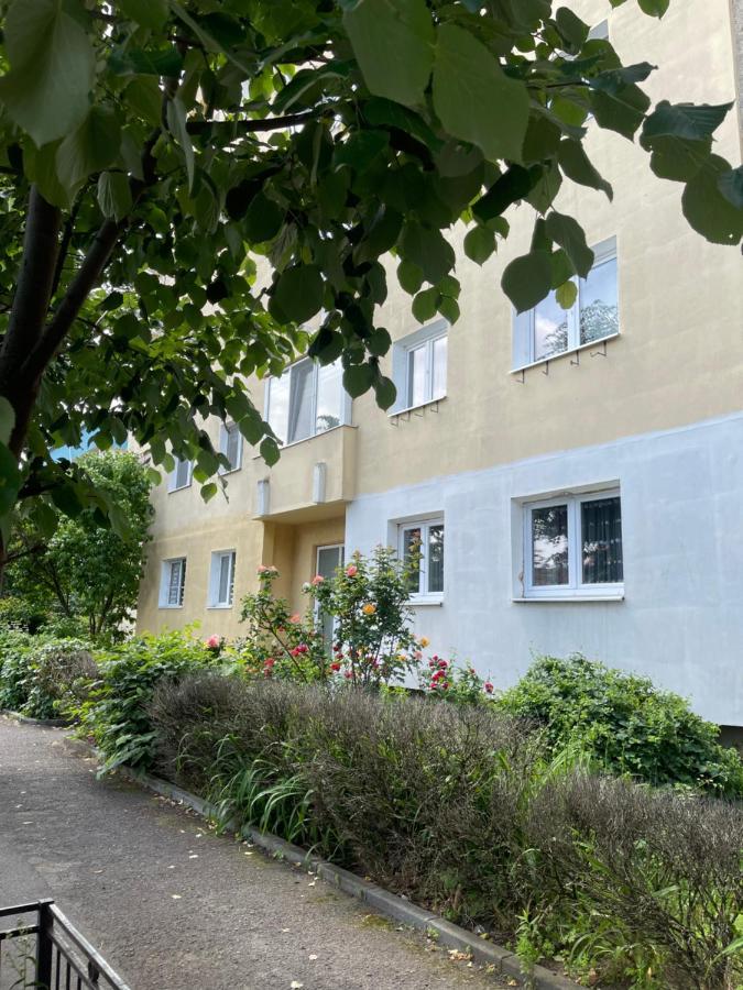 Ego Deluxe Apartment - Central Location Сібіу Екстер'єр фото